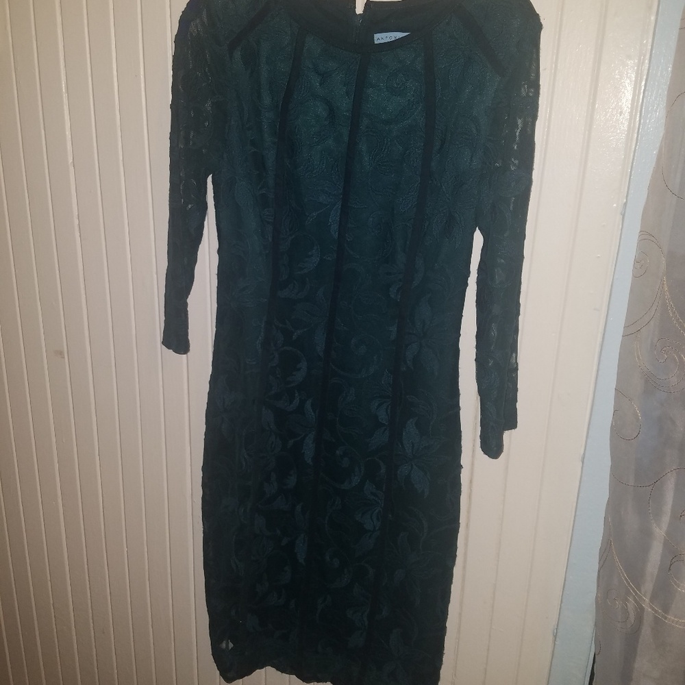 Antonio Melani green lace dress